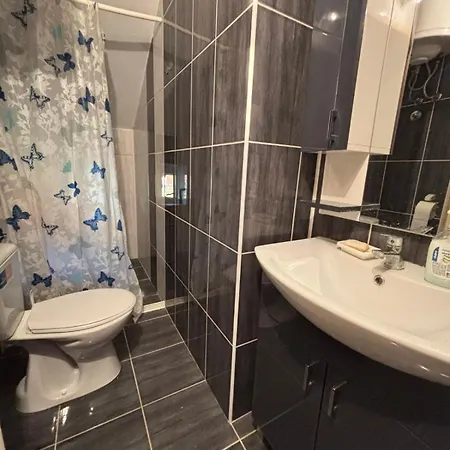 Apartamento Radovanovic Soko Banja