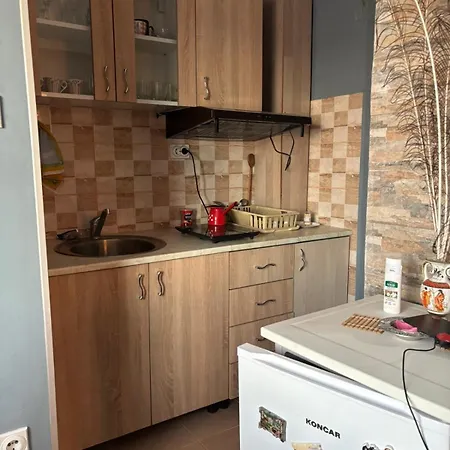 Radovanovic Apartamento Soko Banja