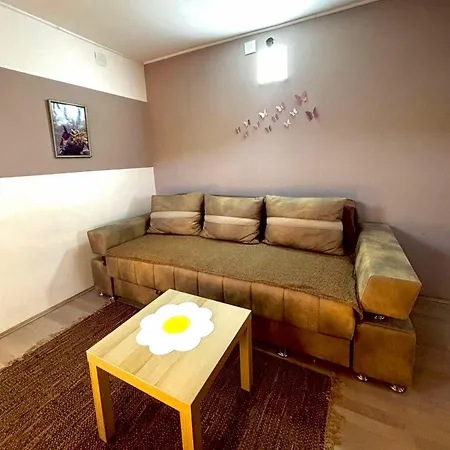 Radovanovic Apartamento Soko Banja