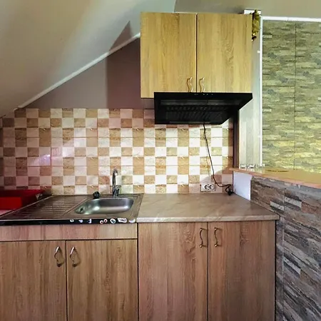 Apartamento Radovanovic Soko Banja