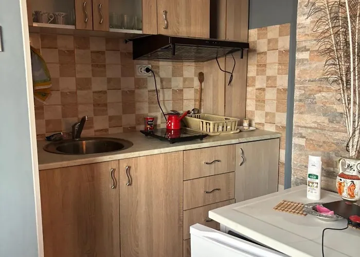 Radovanovic アパート ソコバニャ